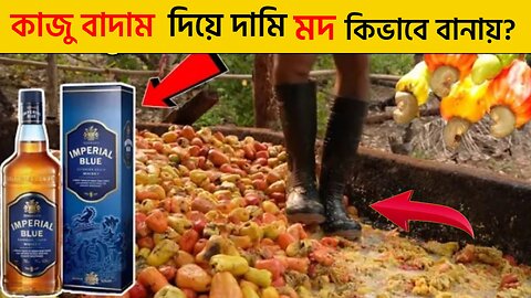 কাজুবাদাম দিয়ে দামি ওয়াইন কীভাবে তৈরী করে দেখুন