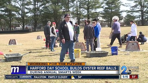 Students help bring oysters back to Chesapeake Bay