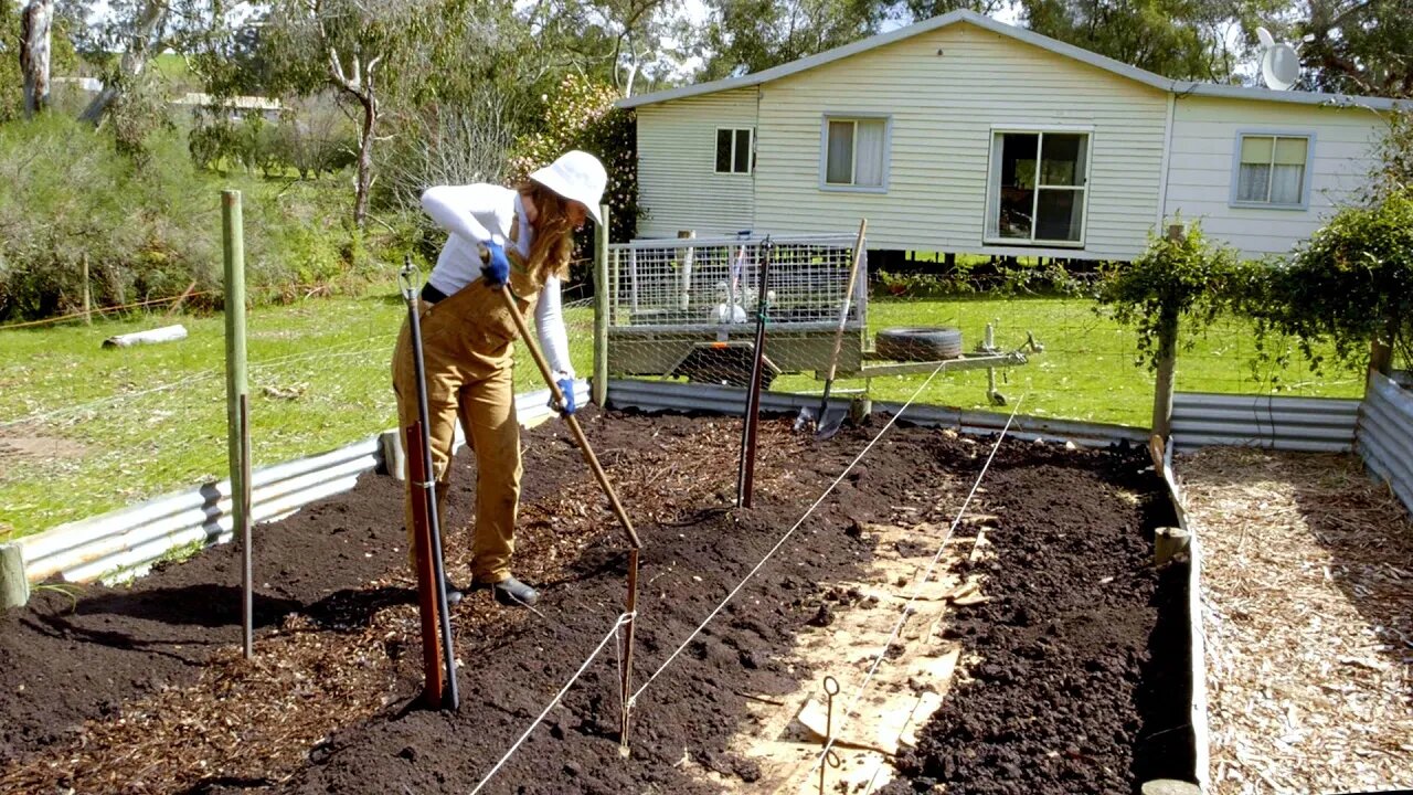 Building a No Dig Garden (plus Hugelkultur bed and potatoes in bags) - Free Range Homestead Ep 21