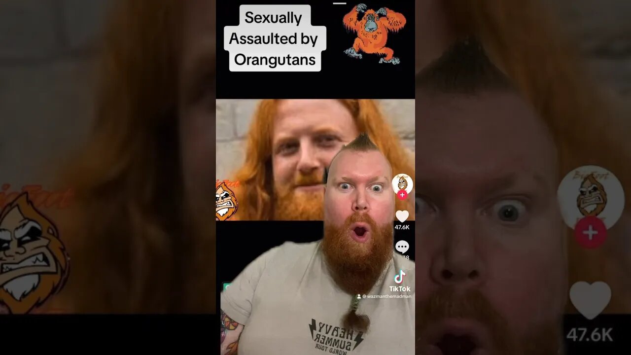 A Brother From Another Mother Gets Assaulted By My Monkey Friend! #orangutans #ginger #monkeylove