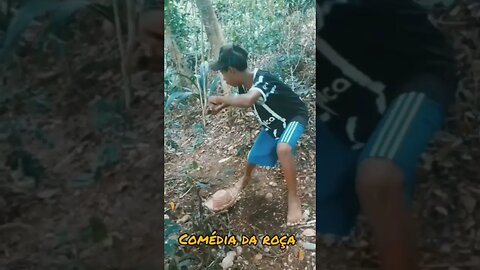 esse mamão vai dá certinho pra eu pegar uma paca 🐗#comedia