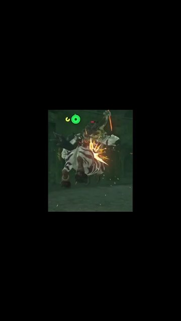 BOTW: Colosseum Lynel Kill...Bye Bye!