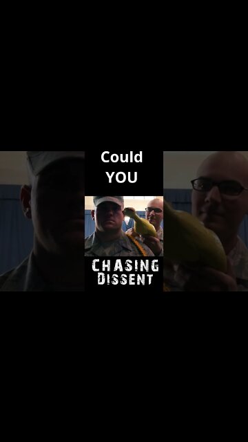 Could You Beat the Chicken ?