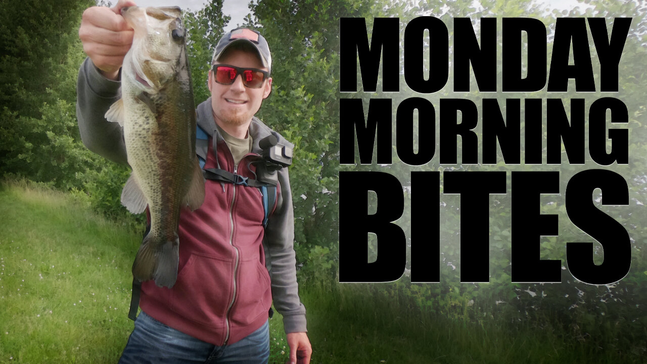 Catching Largemouth Bass on a Zoom Zlinky | Monday Morning Bites: Episode 16