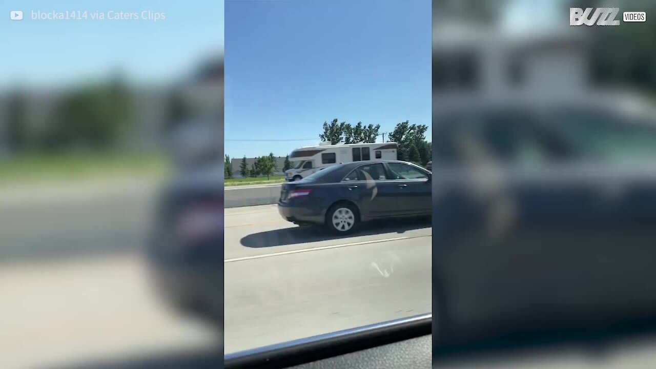 Jeep tows toy tractor on huge trailer