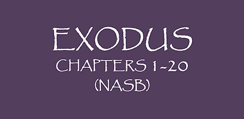 Exodus chapters 1-20 (NASB)