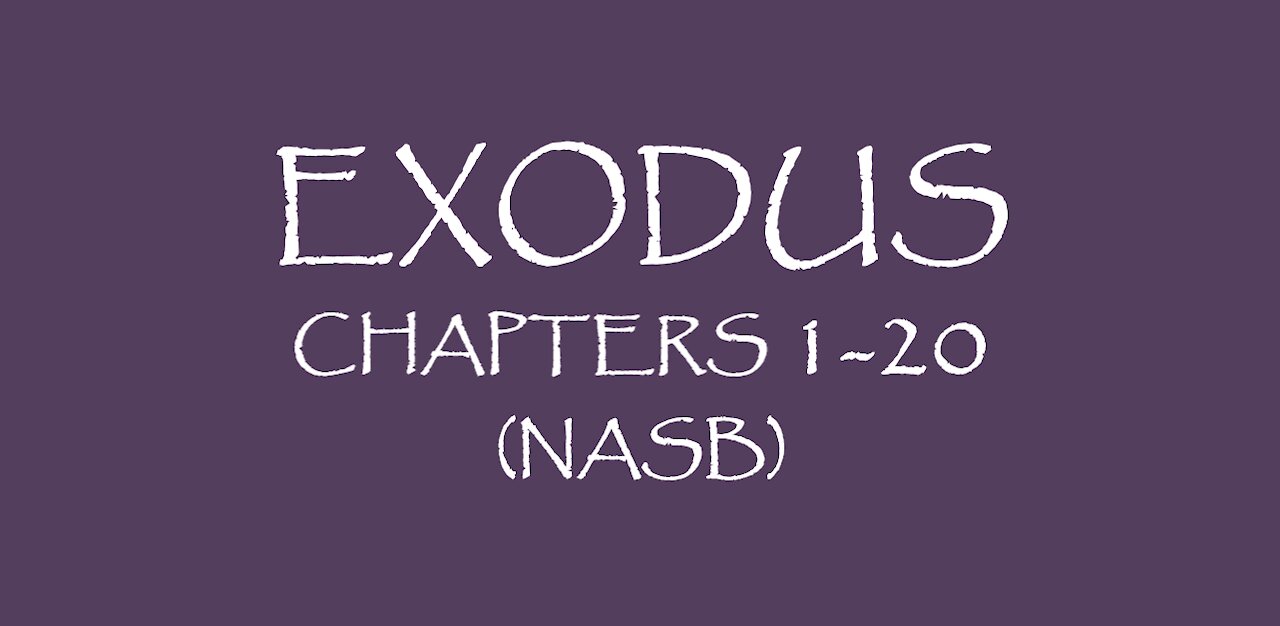 Exodus chapters 1-20 (NASB)