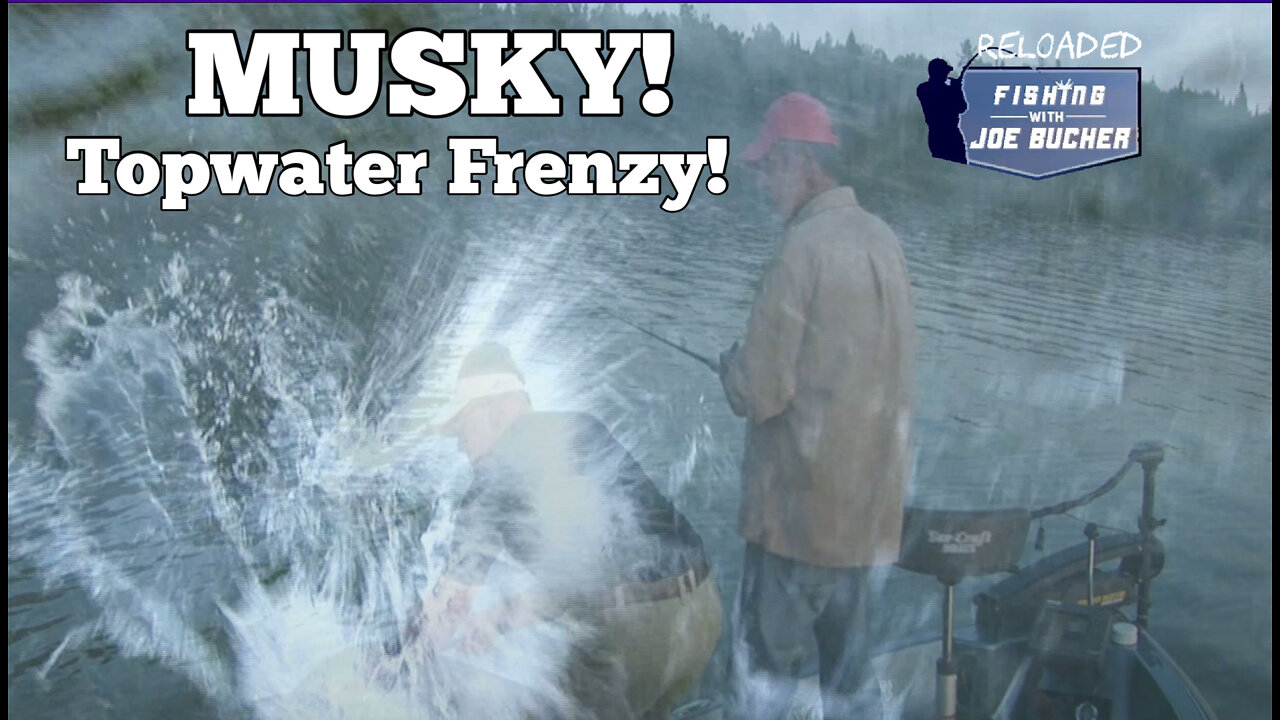 MUSKY Topwater Frenzy!