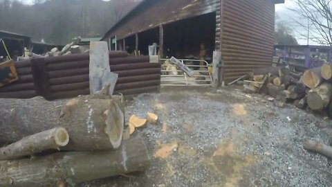 The Great 45 President TRUMP Wood Carving!