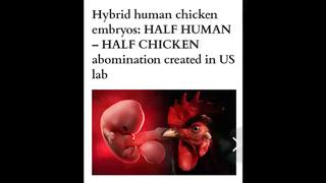 Tyson Chicken Has Hair Instead Of Feathers??? Genetically Modified. Immigrant Processed.