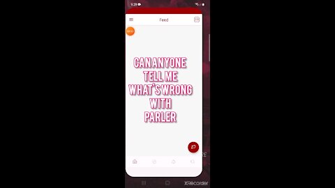 CAN ANYONE TELL ME WHAT IS WRONG WITH PARLER?