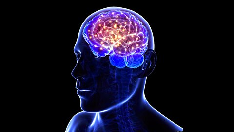 What is Alzheimer's disease? - Ivan Seah Yu Jun