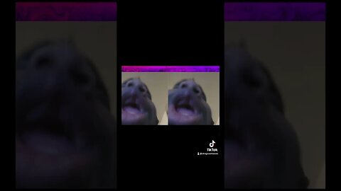 #funny #funnymoments #omegle #omeglefunny #omegleprank #omegletrolling #youtubeshorts #foryou #viral