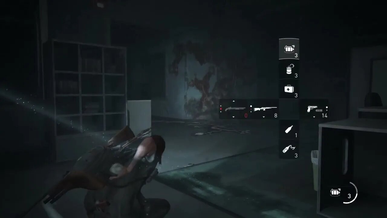 The Last of Us™ Part II_What part of the game is this?