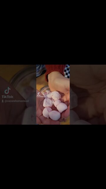 Dehydrated Marshmallows