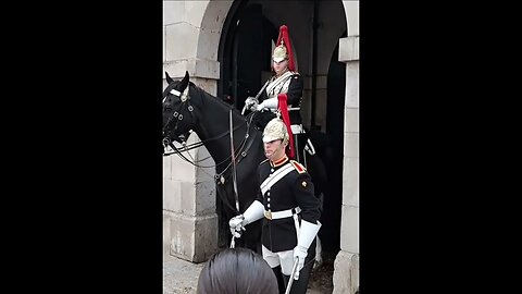 Make way slow motion #horseguardsparade