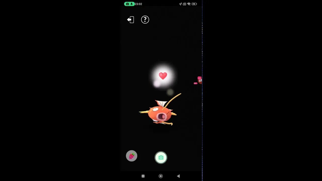 Live de Pokémon GO - Evento Solstício