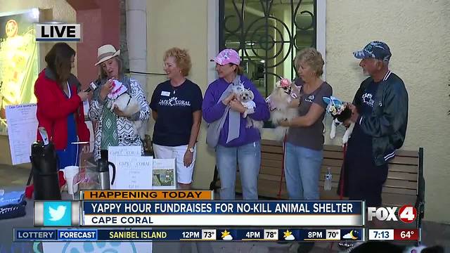 Yappy hours fundraises for first no-kill animal shelter in Cape Coral