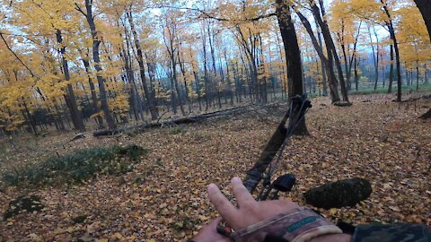 My First Self Filmed Hunt