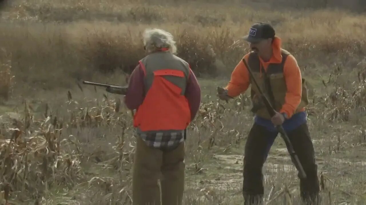 My First Pheasant Hunt in 2 Years