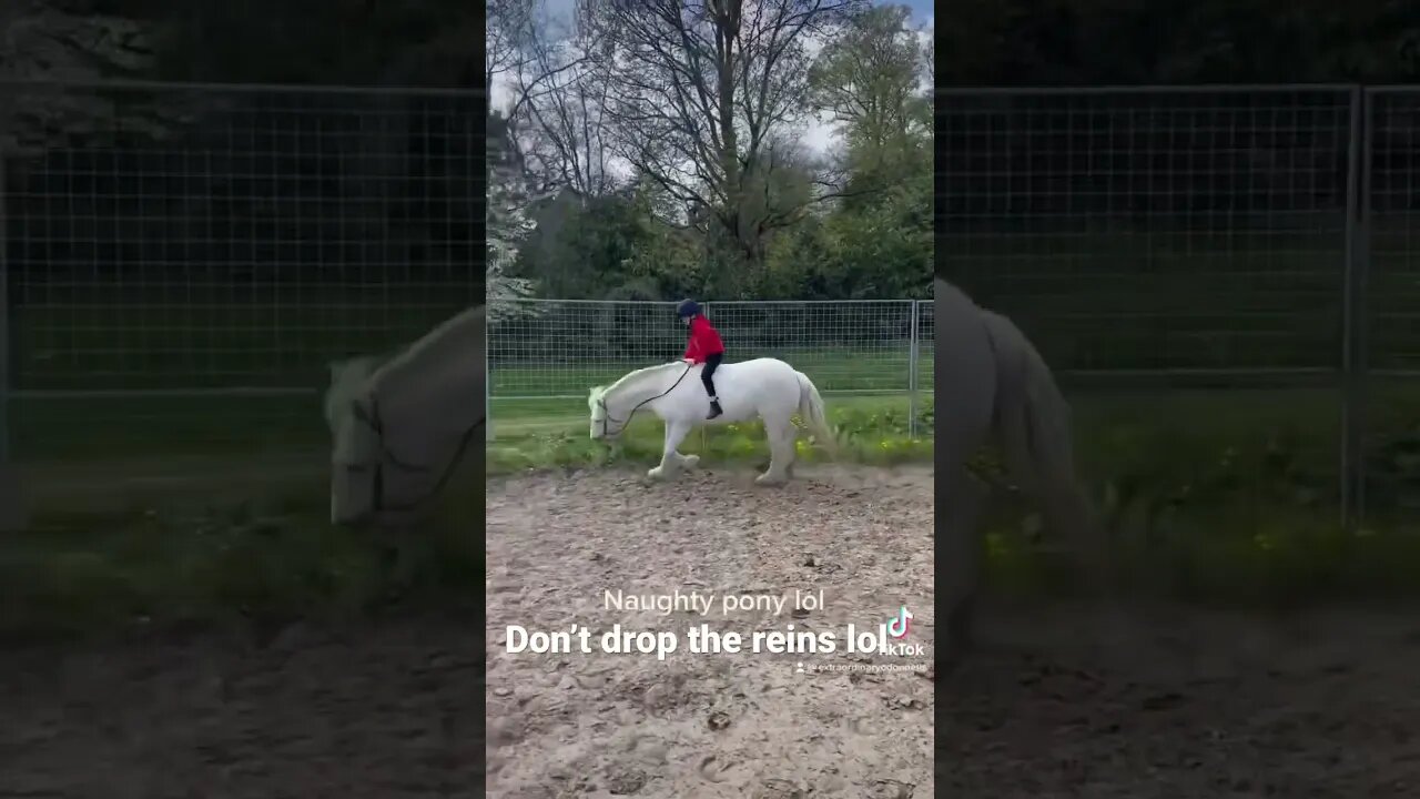 Haha Blake at least you stayed calm #fail #buck #fyp #youtubeshorts #equestrian #horsefails #viral