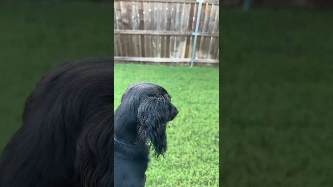 Adventure Time w/Brooks pt. 19