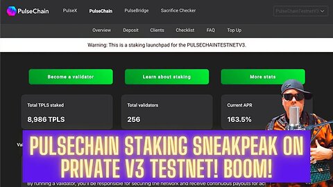 Pulsechain Staking Sneakpeak On Private V3 Testnet! Boom!