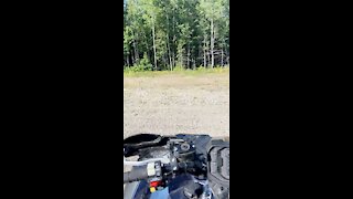 Four wheeler Ride