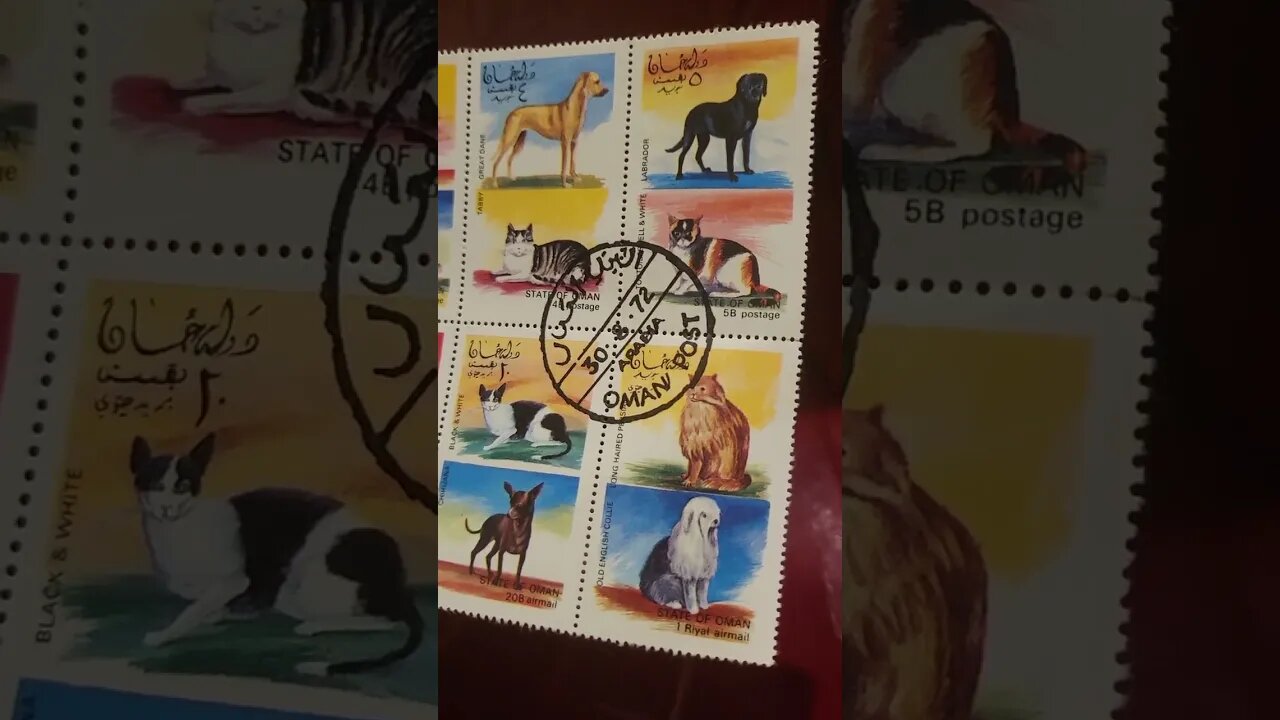 Really Cool Arabic Stamp Set