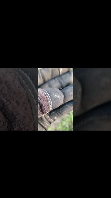 War of 1812?? #relics #metaldetecting #coins #canada #silver #civilwar #battlefield #1812 #button