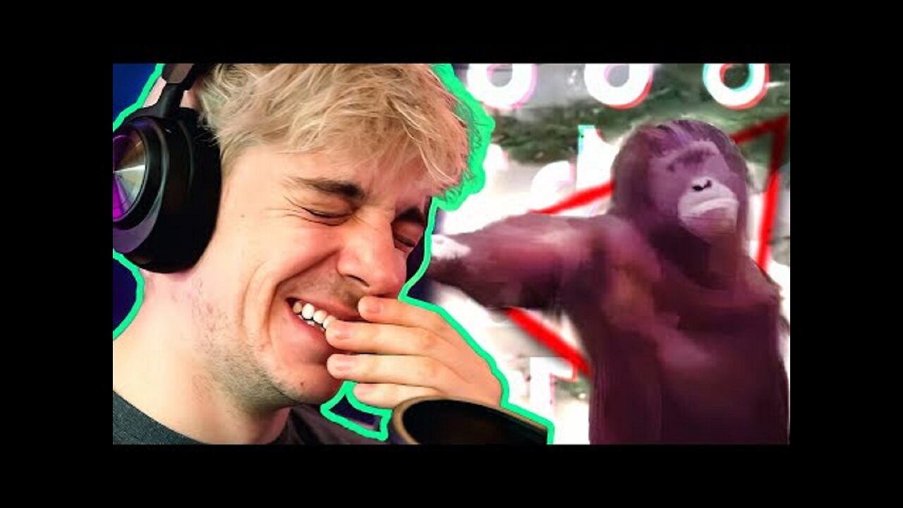 Tiktoks that actually make me laugh
