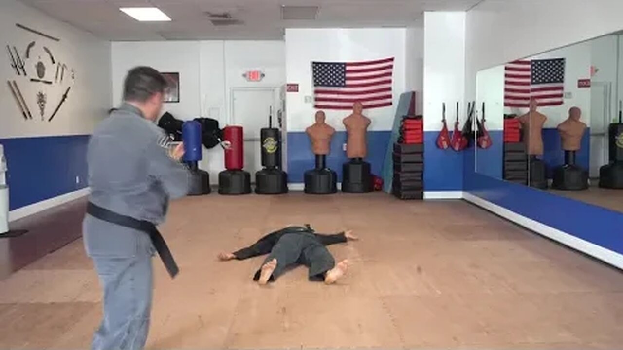 An example of the American Kenpo technique Desperate Falcons