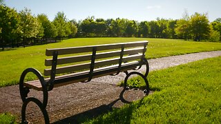 Green Infrastructure Does More Than Handle City Rainwater