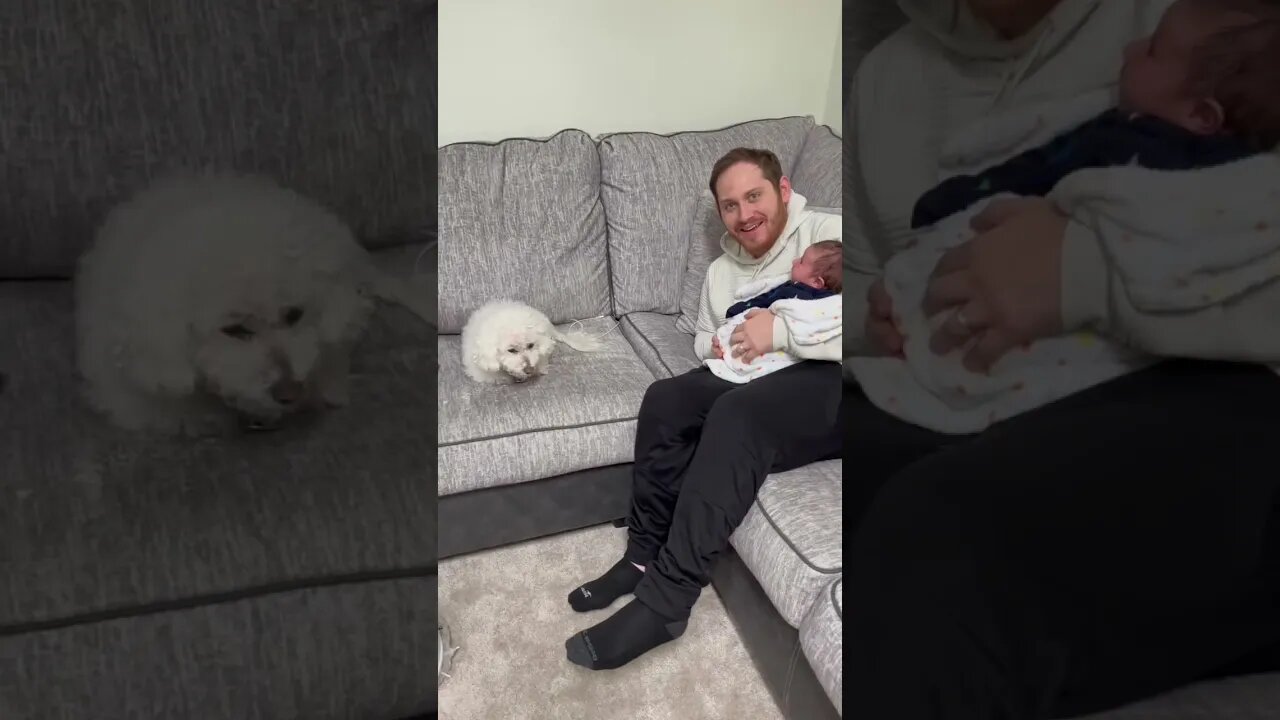 Quincy Meets My Son For the First Time! #shorts