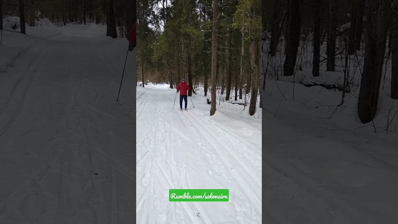 Skiing in the forest for the second time | health $ fitness