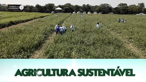 Agricultura Sustentável com Frederico Olivi