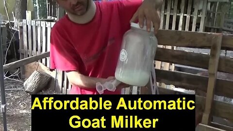 Chris Demonstrates The New Goat Milking Machine