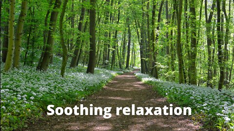 3 Hours of Beautiful Piano music for Relaxation,Meditation ,Stress relief,Deep sleep