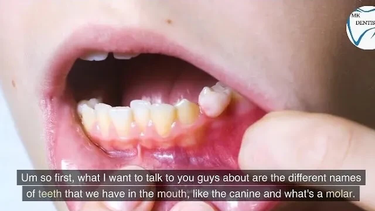 Dental Tooth Number & Name