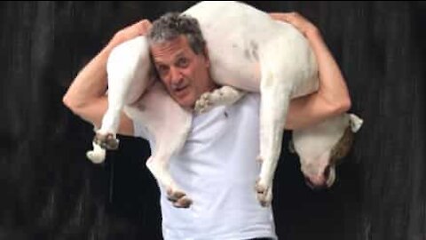 Man squats with massive dog on his back