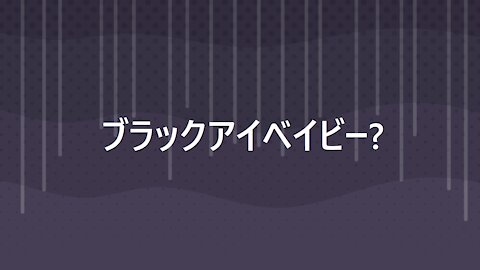 ブラックアイベイビー？