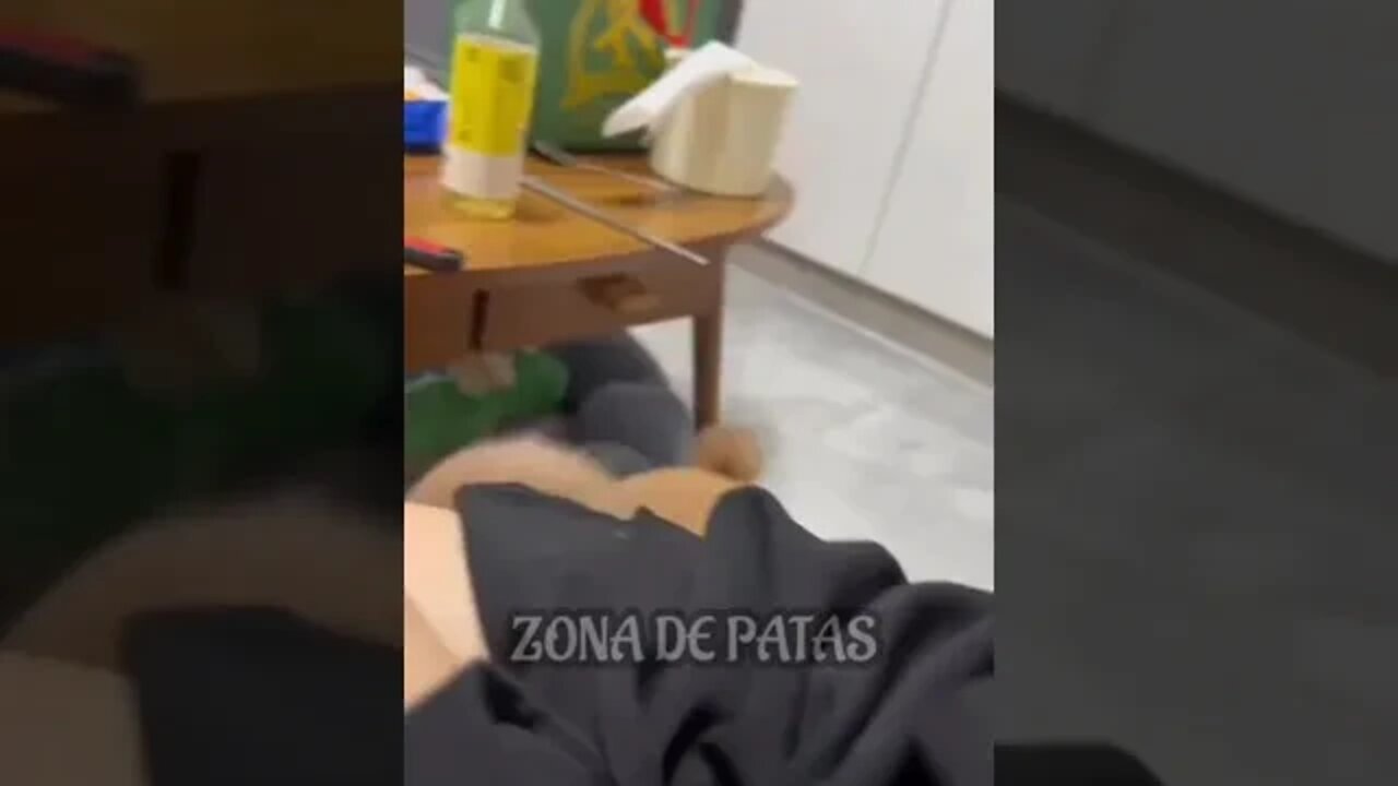 AQUELE AMIGO FOLGADO🤣🤣🤣