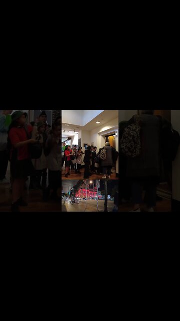 BRISBANE CITY WALKING TOUR EXPERIENCE || QLD - Australia