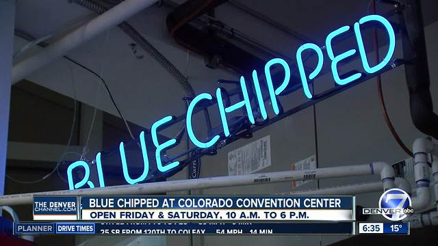 Bluechipped is unique art exhibit in Denver