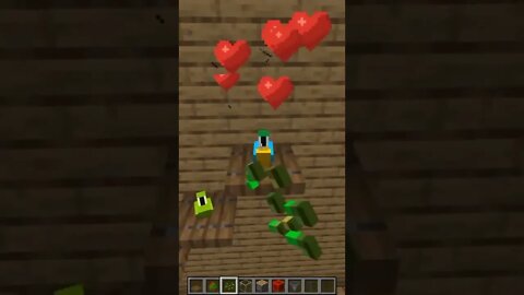 Minecraft #tiktok #Shorts