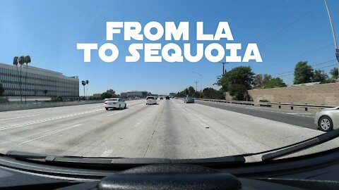From LA to Sequoia