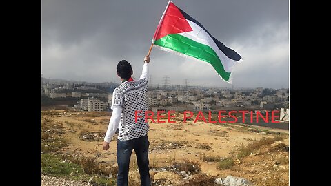 In Solidarity with Palestine: A Path to Freedom