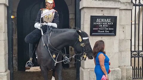 The horse's ears are right back #horseguardsparade