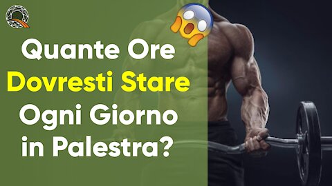 🏋️‍♂️ Quante Ore Dovresti Stare Ogni Giorno in Palestra?