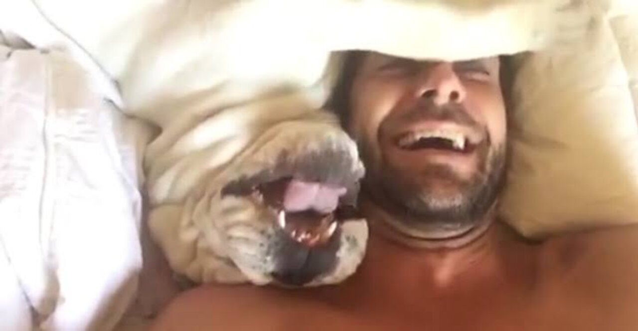 Grumpy Dog Sounds Hilarious When Being Woken Up!